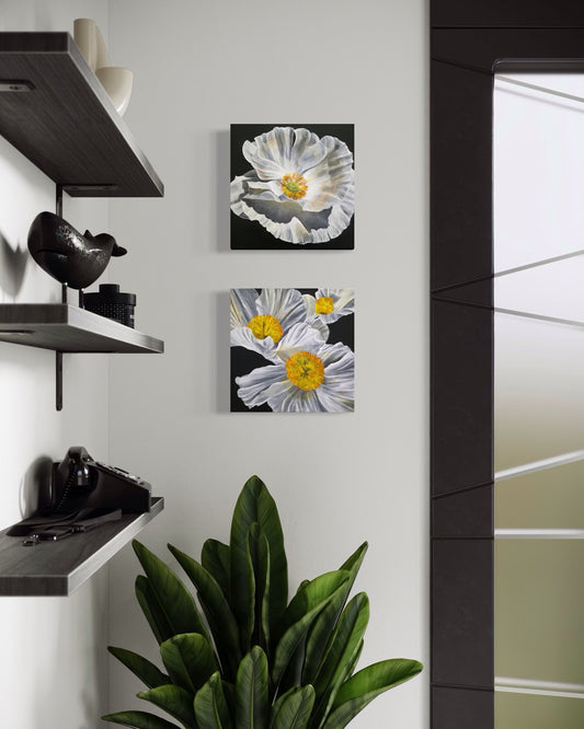 Two white flower with yellow center paintings with black background placed against white wall with shelving just inside entrance