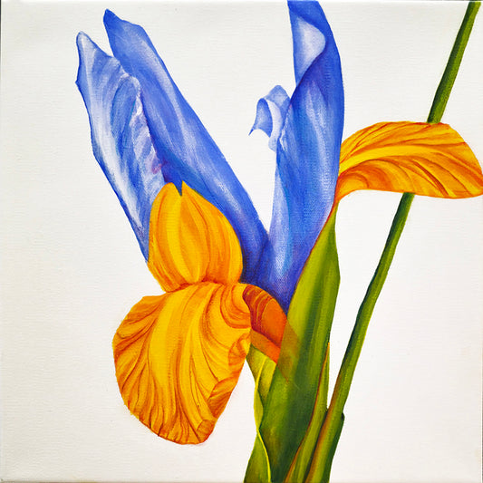Artistic depiction of a blue and orange flower on a white background
