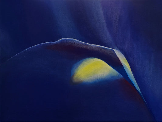 Artistic depiction of a blue iris set against a dark blue background