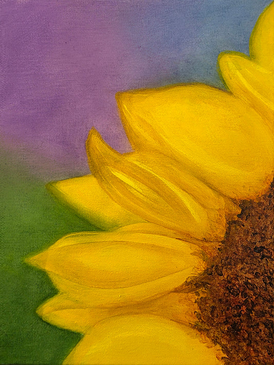 Close-up of a sunflower with a colorful background